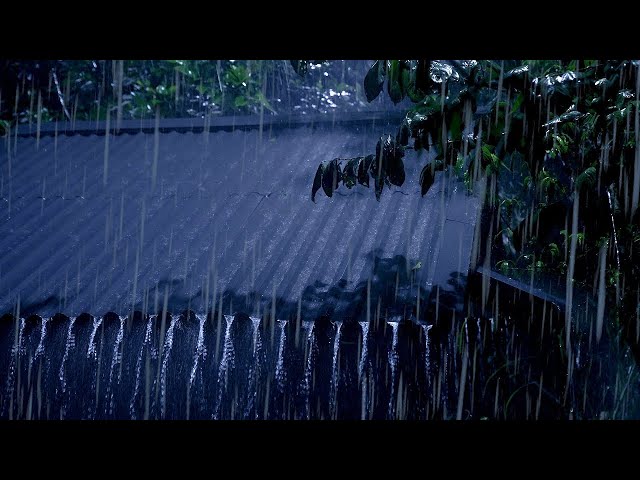 RAIN and THUNDER bedtime sounds | Deep Sleep with Heavy Rain on Tin Roof, Relax, Study