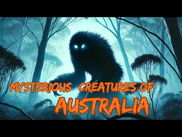 Australia's Mysterious Creatures Lurking around – You Won’t Believe They Exist!  | Mystery