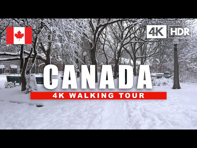 🇨🇦 Canada Snowfall City Walking Tour ❄️ Ottawa Centretown Byward Market Night Walk | 4K HDR 60fps