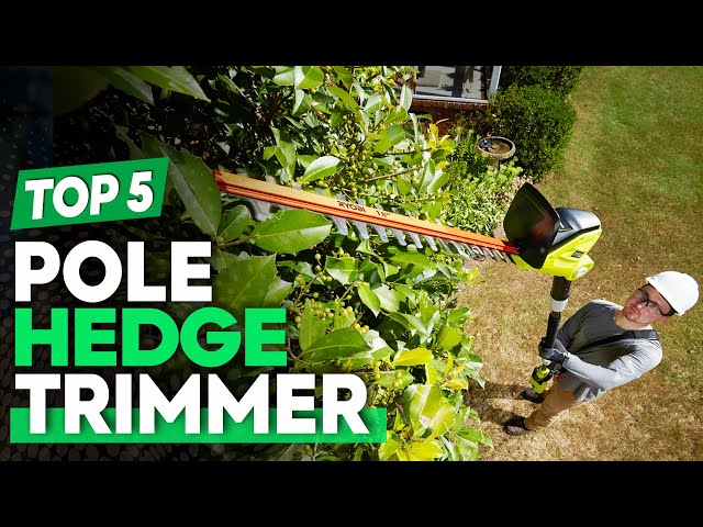 Best Electric Pole Hedge Trimmer 2024 for Pruning & Trimming Branches