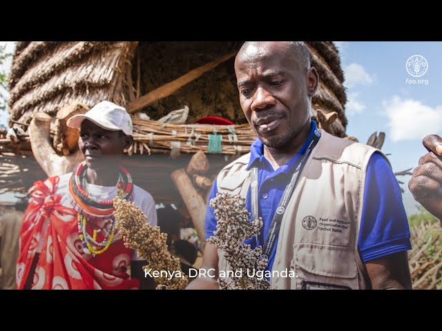 One Country One Priority Product: Sorghum in South Sudan