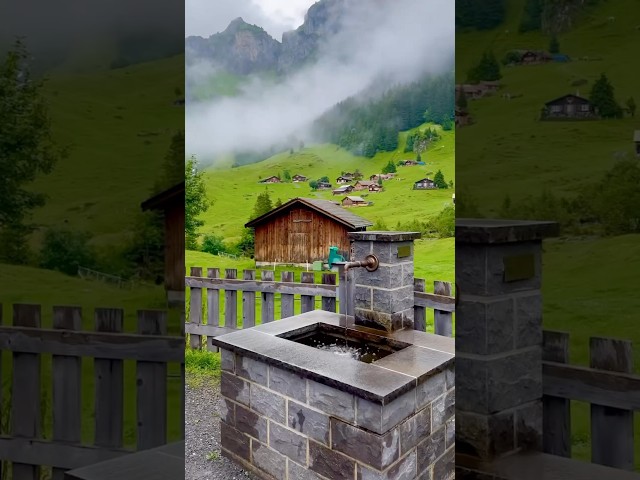 Experience SWITZERLAND'S Breathtaking Natural Beauty!#nature #wildlife #relax #naturesounds