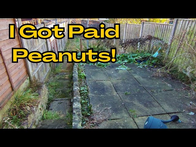 I Literally Got Paid Peanuts! FROZEN Garden Makeover | Clearing Overgrown Neglected Yard