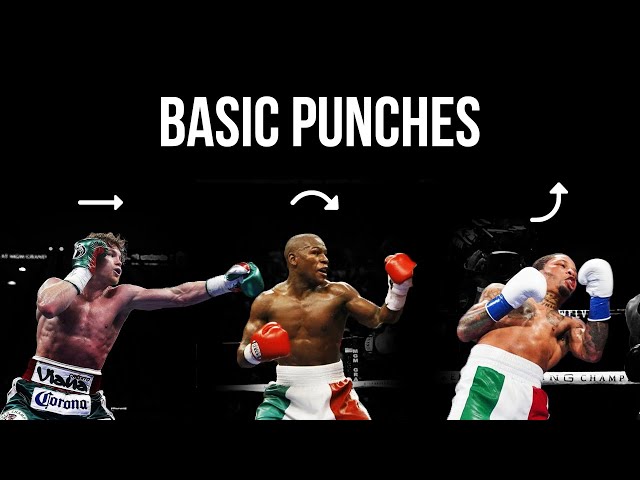 Understand EVERYTHING about the 6 (+2) Basic Punches in Boxing