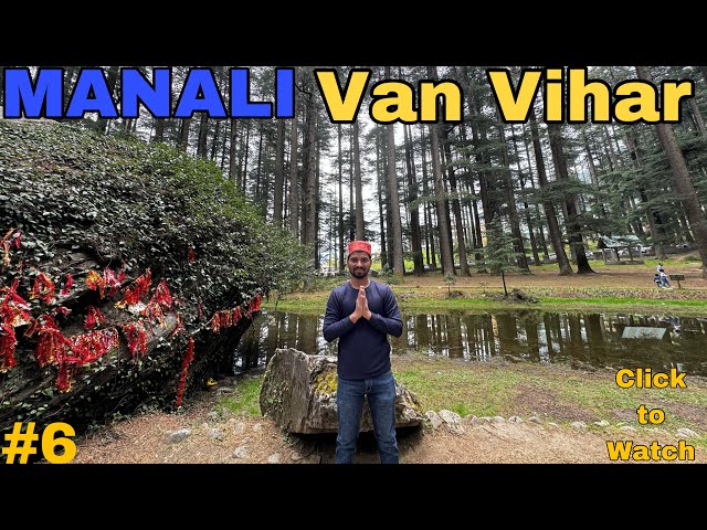 MANALI VLOG VAN - VIHAR🌲  || Last Day In HIMACHAL PRADESH ☃️|| VLOG - 19 || @kirankvlogs