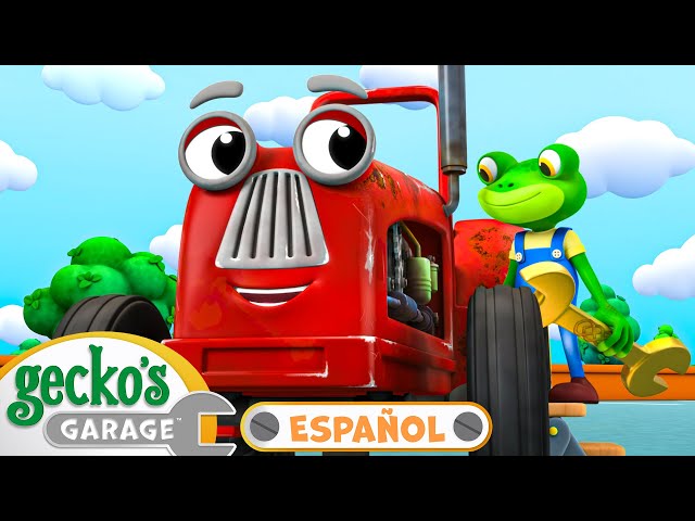 La gran reparación del tractor | Garaje de Gecko en Español | Dibujos animados