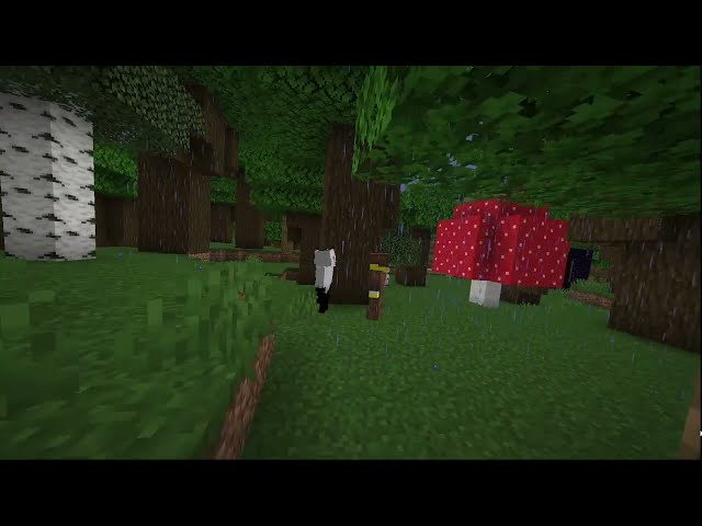 Two FaceDani Managements Minecraft video!