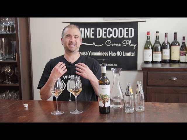 Wine Decoded Tasting Revolution Part 1: Depth & Length