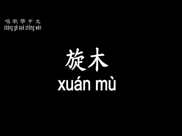 【唱歌學中文】►王菲 / 旋木◀ ► wáng fēi / Carousel◀『旋轉的木馬沒有翅膀 但卻能夠帶著你到處飛翔』【動態歌詞中文、拼音Lyrics】