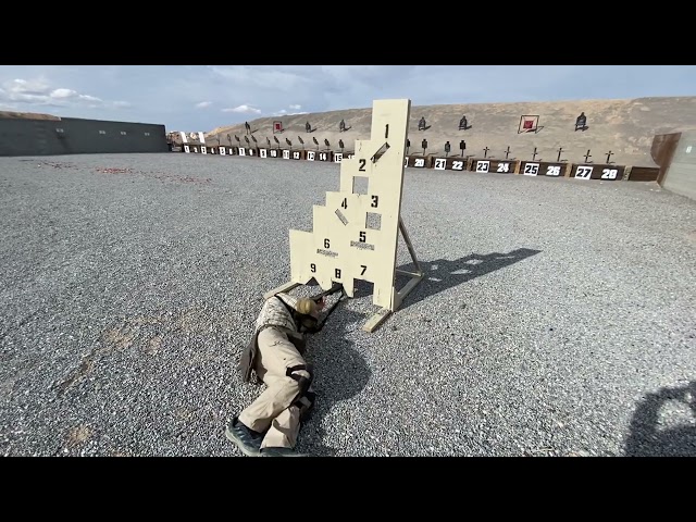 Shotgun training at 20 yards