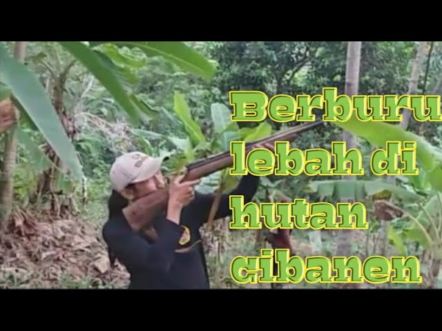 Berburu lebah di hutan cibanen | Hunt bees in the cibanen forest