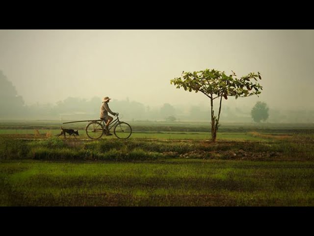 LAGU NOSTALGIA TERBAIK BIKIN HATI ADEM -  LAGU KENANGAN JANGAN SALAH MENILAI