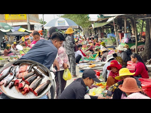 Best Cambodian Street Food! Fresh Vegetables, Fish, Meat for sale & More @Cambodia