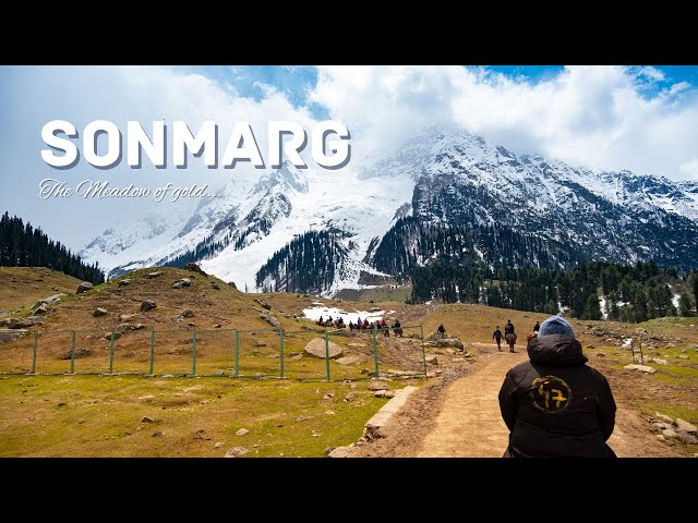 Kashmir Trip : Part 2 : Sonmarg : The meadow of gold