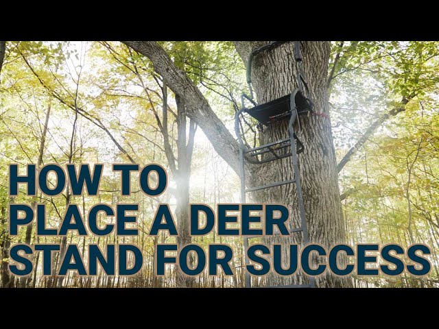 How to Place a Deer Stand for Optimal Success