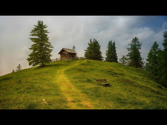 How to Sleep Fast ? Rain Sounds for Sleeping, 99% Instantly Fall Asleep With Rain And Thunder Sound