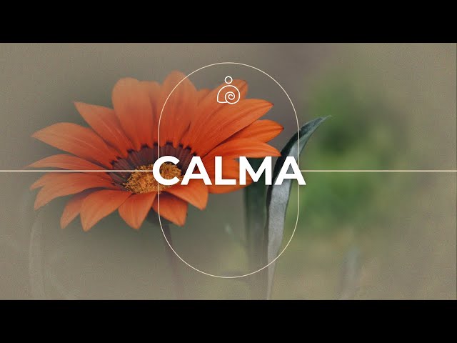 La música cura el corazón🌿 La música calmante restaura el sistema nervioso