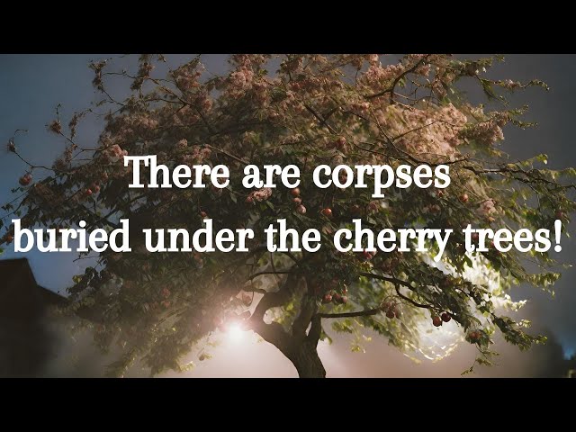 Exploring Life and Death Through Cherry Blossoms: A Deep Dive into 'Under the Cherry Trees'