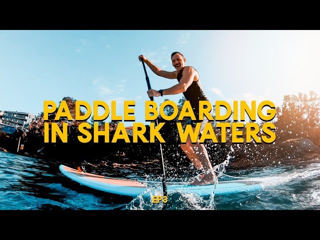 Paddle Boarding In Shark Infested Waters || Cool Dad, Burnt 1000 Calories