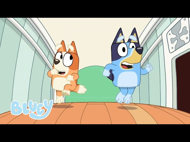 Bluey Temporada 1 Episodios Completos | Bluey 💙 Español Canal Oficial 🇪🇸