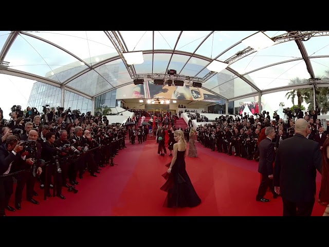 360 CANNES  - Cannes 2018 - Red Carpet - EV