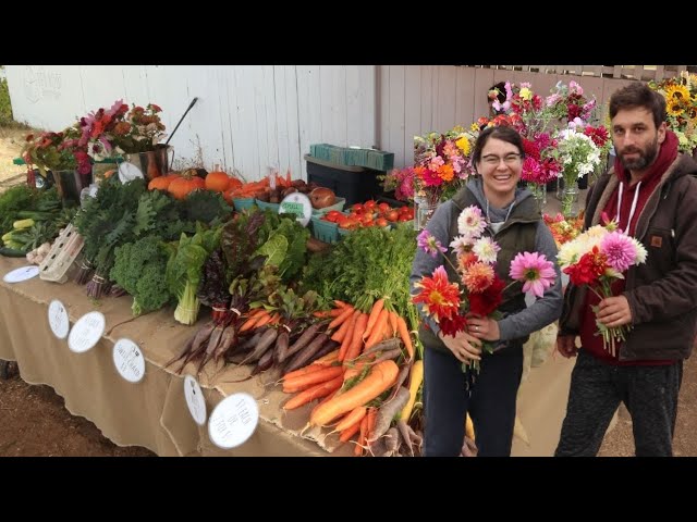 THE LAST ROADSIDE FARMSTAND of the season