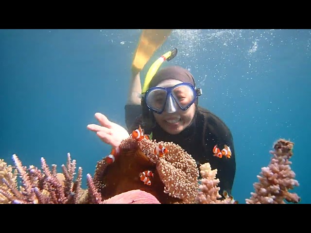 Alasan kenapa karimun jawa jadi primadona para traveller😍