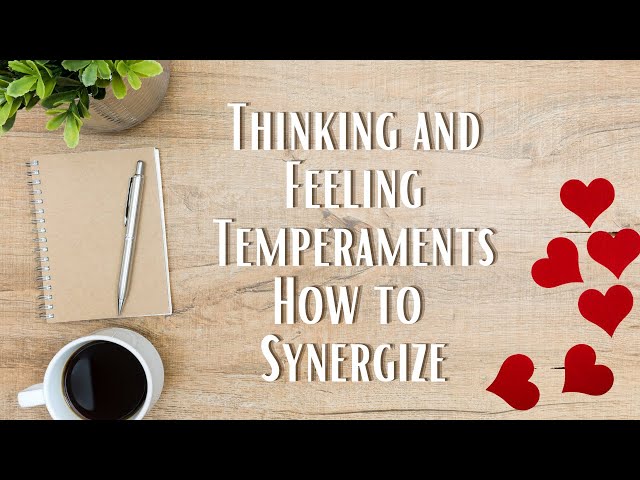 Thinking and Feeling Understanding Temperament in Relationships and Recovery