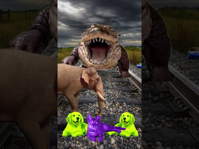 Purple colors Cute baby cats & green dogs vs crocodile & train driver tom…