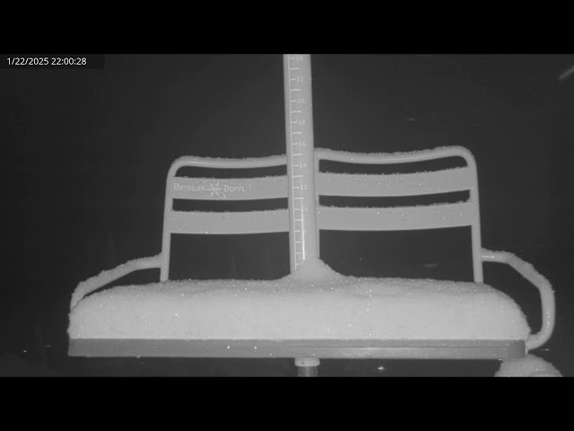 Red Chair Live Cam