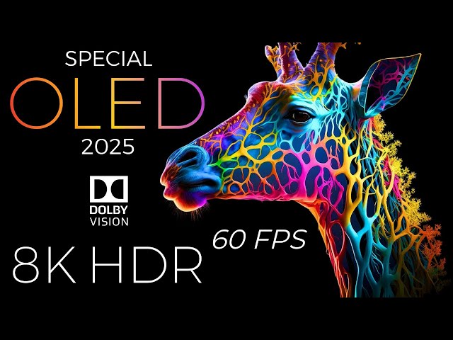 Special OLED Demo 2025 HDR 8K Ultra HD Dolby Vision™ 60fps