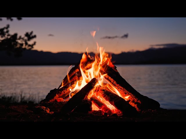 Live - Crackling Campfire at the Lake with Chirping Crickets at Dusk