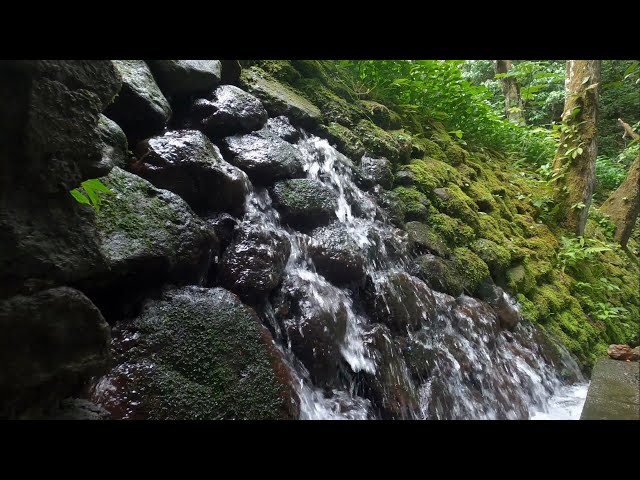 Soothing Trickling Water Sounds For Sleep, Theraphy, Relaxation, Ease Stress | 24/7 Hours