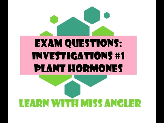 GR 12 EXAM QUESTION: Investigation questions #1 (plant hormones)