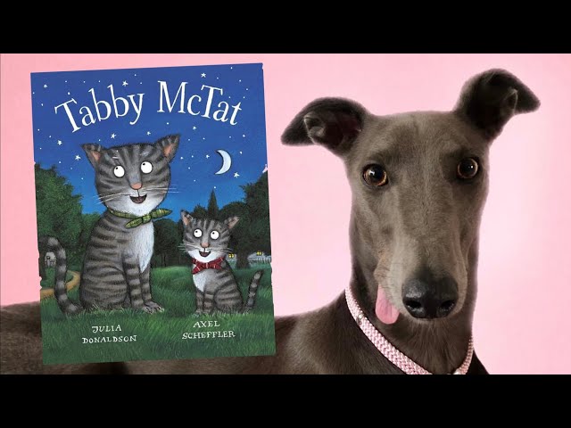 TABBY MCTAT children’s story read aloud with school dog Fairy