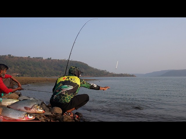 Greatest Rohu fishing videos of all time || float fishing for carp | single hook fishing