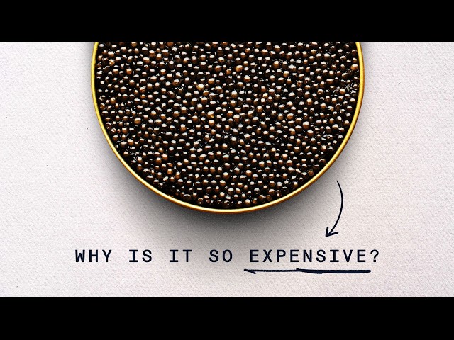 Why Is CAVIAR So LUXURIOUS And EXPENSIVE?