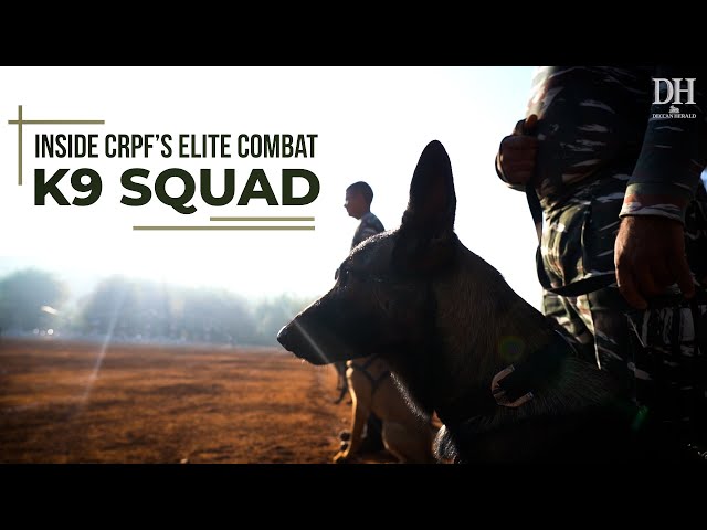 India’s elite K9 squad | How the CRPF trains its combat dogs