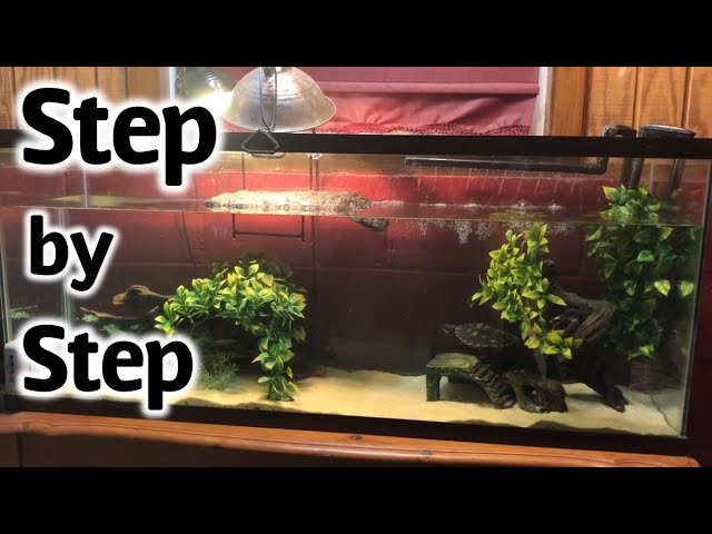 How to Setup a Turtle Tank