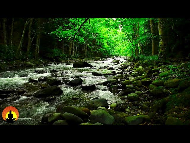 15 Minute Meditation Music, Calm Music, Relax, Meditation, Stress Relief, Spa, Study, Sleep, ☯3527B