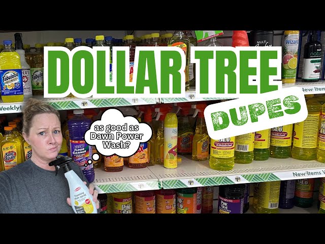 DOES THE DOLLAR TREE HAVE CLEANING DUPES? Shop And Test Them With Me!