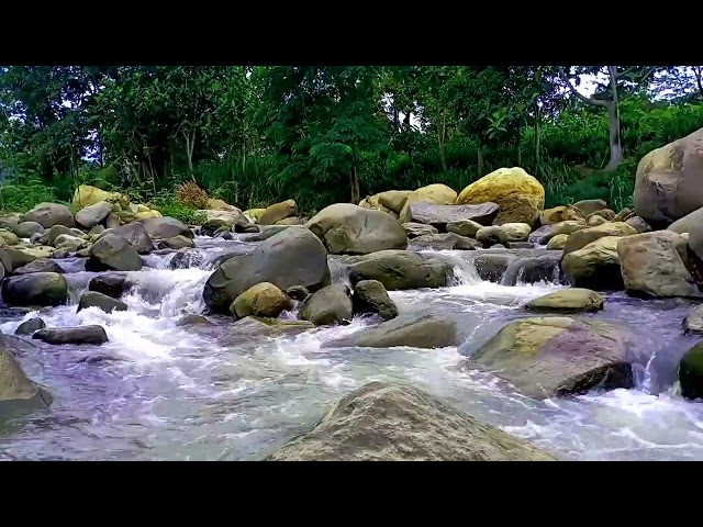 Nature Sounds Waterfall for Relaxation Meditation Relaxing Calm River Water flow for Sleeping