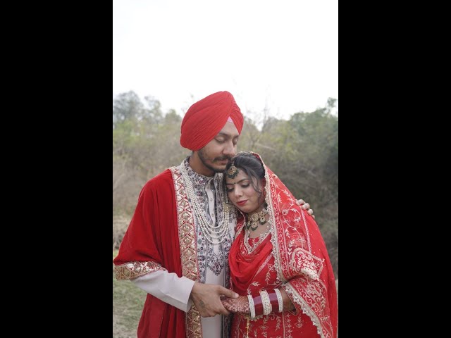 Kuljeet Singh & Akashdeep Kaur {Reception Party}