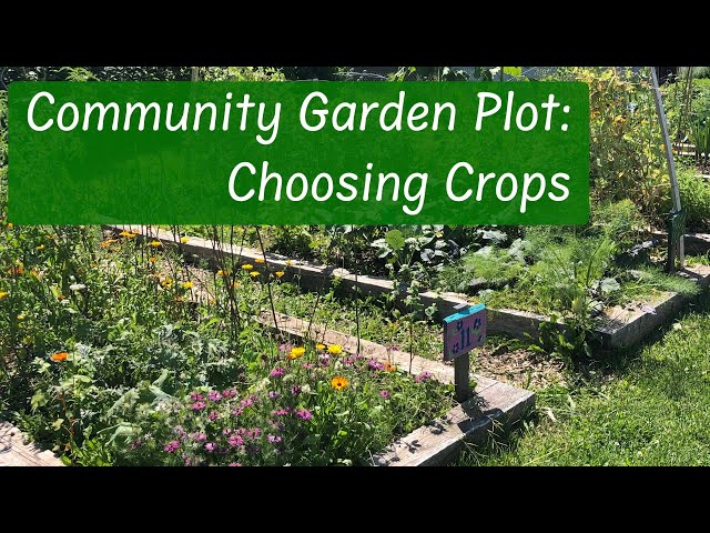 Smart Strategies for Community Garden Plot Planning: Design Ideas and Tips