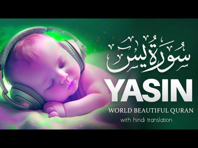 Surah Yaseen full night sleep reaction | surah Yasin in hindi translation #surahyaseen #quran