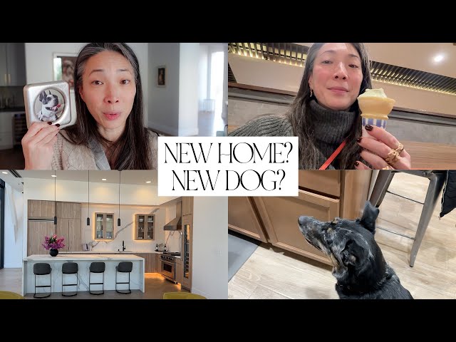 House Shopping? New Doggy? PR Haul and Dining Out Around Las Vegas