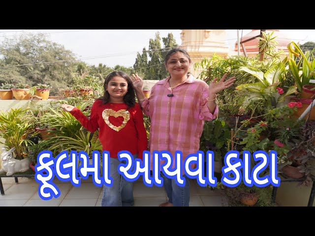 ફૂલમા આયવા કાટા | Ruhiumradiya | new video | vlog