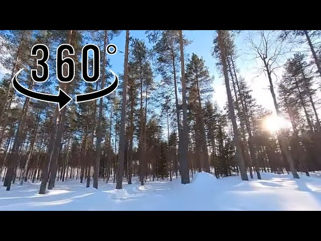 Fatbike snow forest ride @Finland -VR 5K  360° video