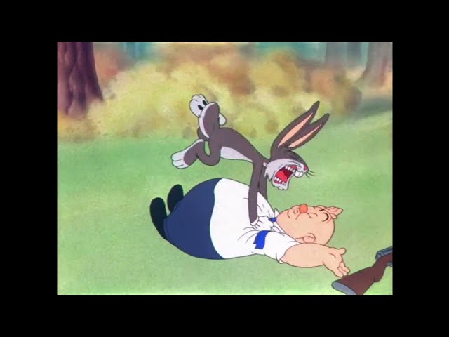 Looney Tunes - Bugs the BEAR!! (Feat. Elmer Fudd and the BLACK Bear!!)