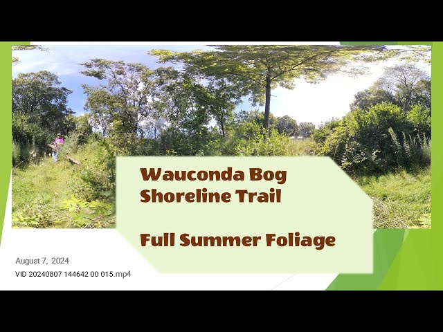 Wauconda Bog Shoreline trail, 8-7-2024